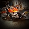 kcross259535